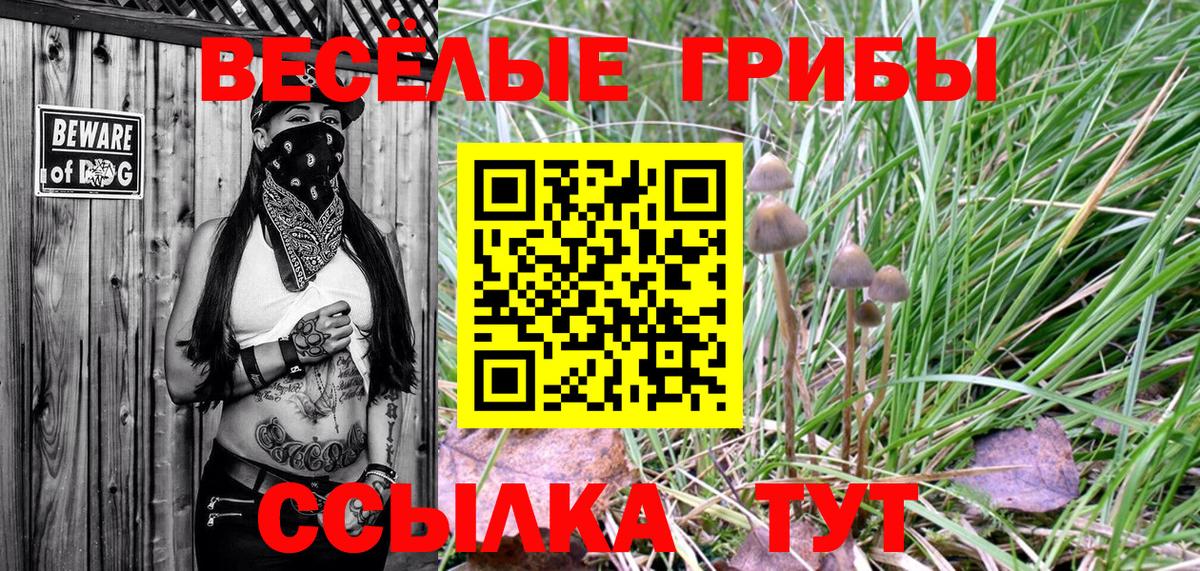 Братск  Псилоцибиновые грибы GOLDEN TEACHER  Вход с VPN 